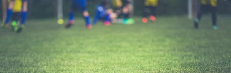 USC-Perchtoldsdorf FAN-Shop ist online!